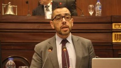 النقض تؤجل طعون انتخابات دائرة العمرانية لـ27 ديسمبر