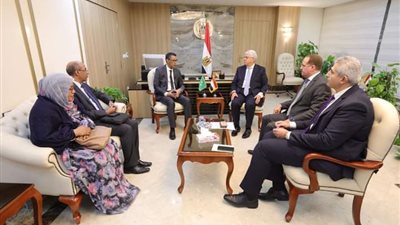 وزير التعليم العالي يلتقي نظيره الموريتاني لبحث سبل التعاون المشترك