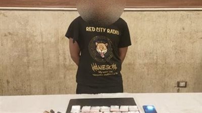 ضبط شخص بحوزته سلاح ناري ومواد مخدرة في عين شمس