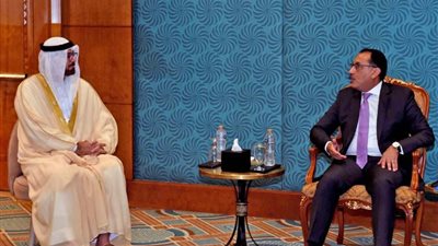 وزير شئون مجلس الوزراء الإماراتي: مصر والإمارات دائما على قلب رجل واحد