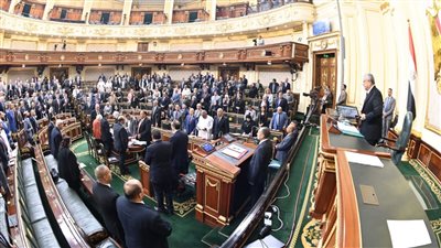 برلماني في طلب إحاطة: الحكومة تلجأ لزيادة الأعباء التي تؤدي لزيادة أسعار الأسماك للمستهلكين