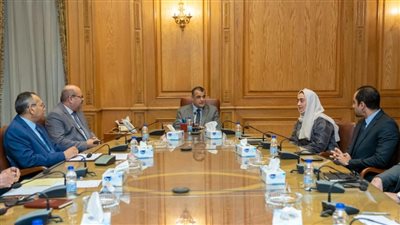 وزير الإنتاج الحربي يبحث مع رئيسة شركة إم جلوري الإماراتية التعاون بمجال تصنيع سيارات البيك أب EM