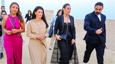 وزيرة التعاون الدولي: الفن جزء رئيسي من الشراكات التي يتم تنفيذها 