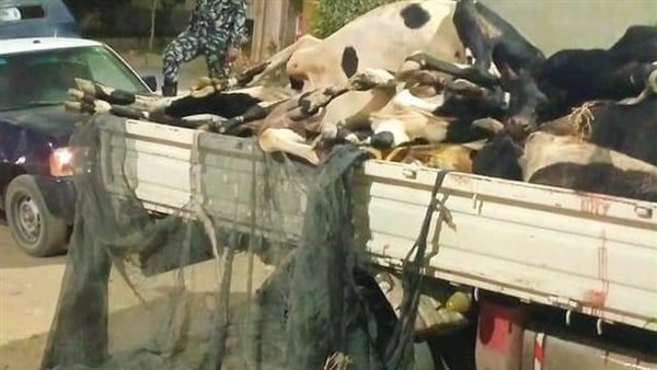 السيارة المضبوطة