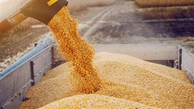 رغم انسحاب روسيا│ إصرار تركي بالإبقاء على اتفاق الحبوب.. وفرنسا تعلن الاتجاه للتصدير البري