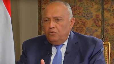 شكري: يجب على الجميع ترك الخلافات الاقتصادية والسياسية خارج مؤتمر المناخ 