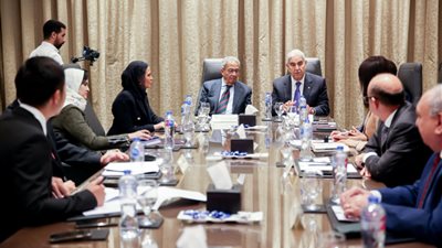 بحضور سحر نصر وعمرو موسى.. أول اجتماع لـ رجال الأعمال المصريين الصينيين