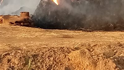 السيطرة على حريق نشب فى شونة قش أرز بالدقهلية