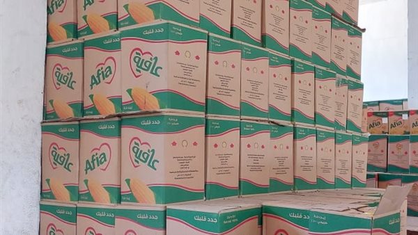 جانب من المضبوطات