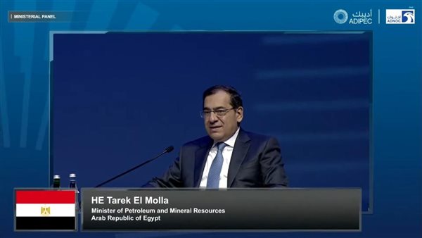 وزير البترول والثروة