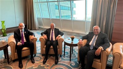 على هامش القمة العربية بالجزائر.. وزير الخارجية يلتقي نظيريه الأردني والعراقي | صور