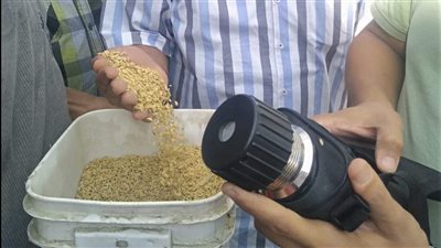 توريد 150 طن أرز شعير لمضرب الشرق الأوسط ببورسعيد.. والجهات الرقابية تواجه الاحتكار.. والمحافظ: لدينا كميات كافية من السلع 