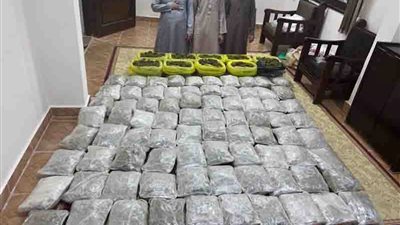 ضبط 300 كيلو من مخدر الهيدرو بقيمة 7.5 مليون جنيه بجنوب سيناء | صور