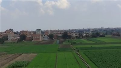 استقرار الحالة الجوية بالمنوفية بعد موجة من الطقس السيء.. والصغرى تسجل 16 | بث مباشر