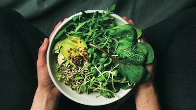 في اليوم العالمي للخضريين.. اعرف الفرق بين أسلوب الغذاء النباتي والخضري 