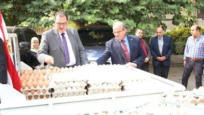 30 % تخفيض.. تعرف على أسعار كراتين البيض في منافذ وزارة الزراعة اليوم