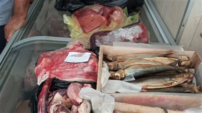 ضبط كميات من اللحوم والأسماك غير الصالحة للاستهلاك الآدمي بالقليوبية