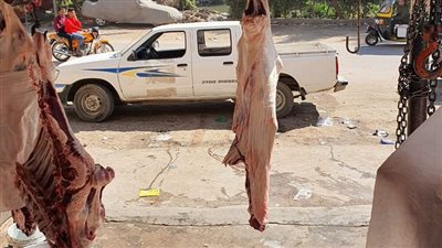 ضبط لحوم بلدي مذبوحة خارج المجزر الحكومي وأسماك في حملة لبيطري كفر الشيخ 