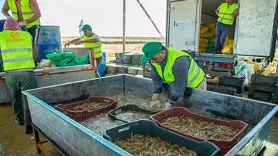 تعرف على الخطوات والأوراق المطلوبة لإنشاء مزرعة سمكية 