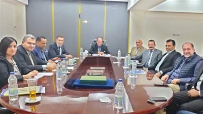 استقالة منتظرة لثلاثي مجلس إدارة الإسماعيلي | خاص 