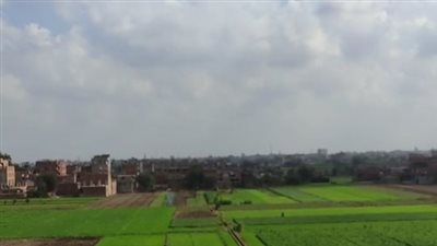 رغم التوقعات بـ التقلبات الجوية.. طقس مستقر يسود عدد من المحافظات اليوم الخميس | بث مباشر 