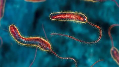 زيمبابوي تسجل 205 إصابة جديدة بالكوليرا