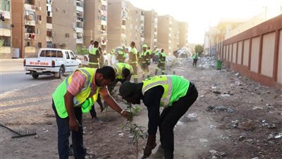 محافظ أسوان يتابع جهود التجربة الرائدة بمشاركة المجتمع المدني في منظومة النظافة العامة