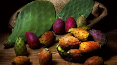 فوائد التين الشوكي على الريق.. يحمي من السرطان وزيادة الكولاجين في الجسم