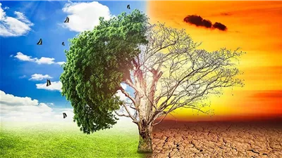 معلومات الوزراء: 330 مليون شخص حول العالم يتأثرون بتقلبات الطقس والتغيرات المناخية 