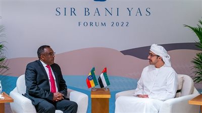 مباحثات إماراتية إثيوبية بشأن العلاقات الثنائية والملفات الإقليمية والدولية