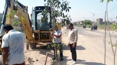 الزراعة: إهداء المحافظات 485 ألف شجرة تزامنًا مع قمة المناخ 