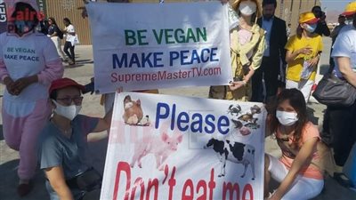 لا تأكلوا لحوم الخنزير والأسماك والحيوانات.. أول تظاهرة مناخية قبل دقائق من انطلاق قمة المناخ COP27 | بث مباشر