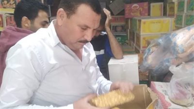 تحرير 13 محضرًا لمخالفات تموينية في مدينة ببا ببني سويف 