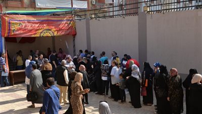 بـ 12 جنيها للكيلو.. فتح منفذ لبيع الأرز البلدي للمواطنين بديوان عام محافظة الدقهلية