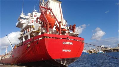 شحن 3200 طن صودا كاوية وتفريغ 3 آلاف رأس ماشية حية بميناء غرب بورسعيد | صور