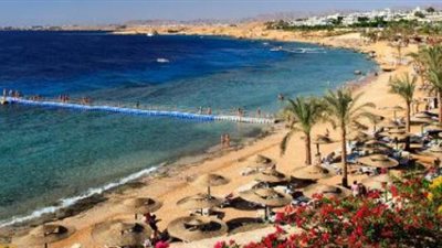 وليد البطوطي: حركة السياحة المصرية ستشهد ازدهارًا بعد نجاح قمة المناخ 