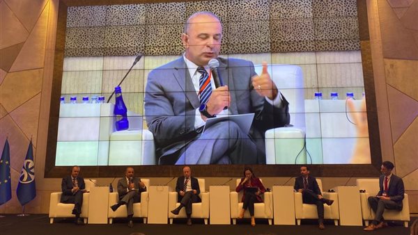 نائب وزيرة التخطيط