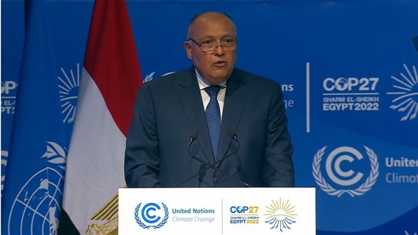 سامح شكري - وزير