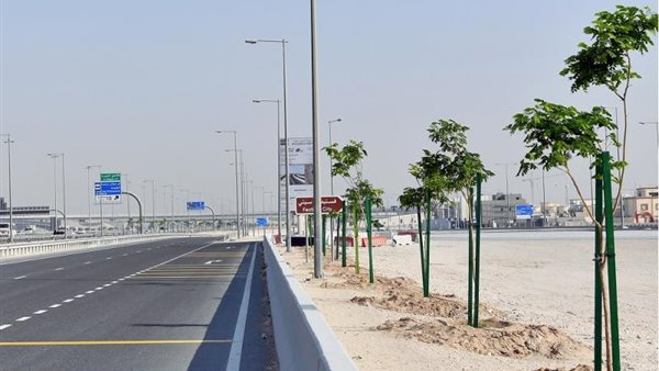 زراعة الأشجار على