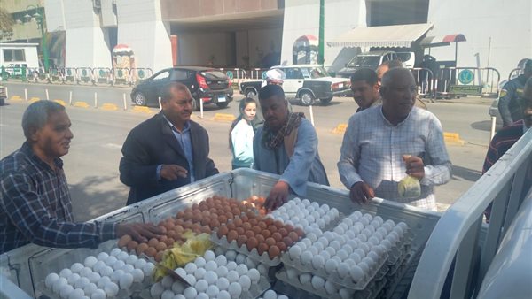 بيع كراتين البيض