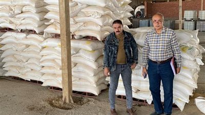 ضبط عدد من المخالفات خلال حملة تموينية على الأسواق والمحلات التجارية بالدقهلية