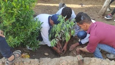 تعليم الجيزة: حملات توعية لتشجير المدارس لـ إكساب الطلاب سُلوكيات إيجابية تجاه البيئة