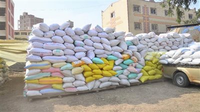 مواقع تخزين الأرز بالغربية تستقبل 26207 طن و931 كيلو خلال موسم 2022