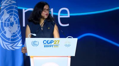 رئيس جامعة لندن للاقتصاد: لابد من وضع حلول جذرية لمساعدة الدولة النامية لمواجهة أزمة المناخ 