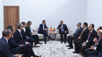رئيس الوزراء: مصر لديها فرص واعدة بمجالات الهيدروجين الأخضر والطاقة المتجددة