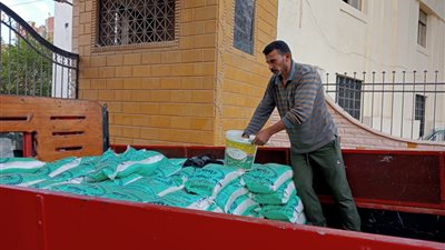 التموين: طرح نحو 300 طن أرز بالمنافذ الثابتة والمتحركة بالدقهلية 