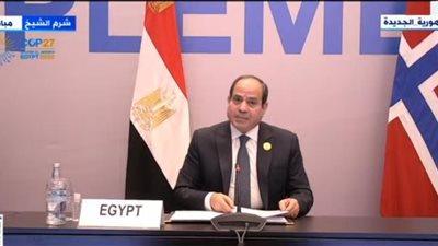 السيسي: الطاقة المتجددة قادرة على جذب الاستثمارات الأجنبية.. وحريصون على تذليل أي عقبات