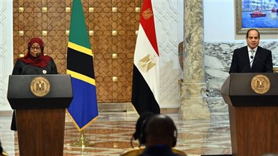السيسي يعزي رئيسة تنزانيا في ضحايا حادث تحطم طائرة ببحيرة فيكتوريا
