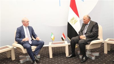 وزير الخارجية يبحث مع نظيره الأيرلندي القضايا الإقليمية والدولية على هامش cop 27