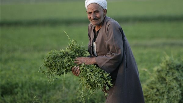 الريف المصري